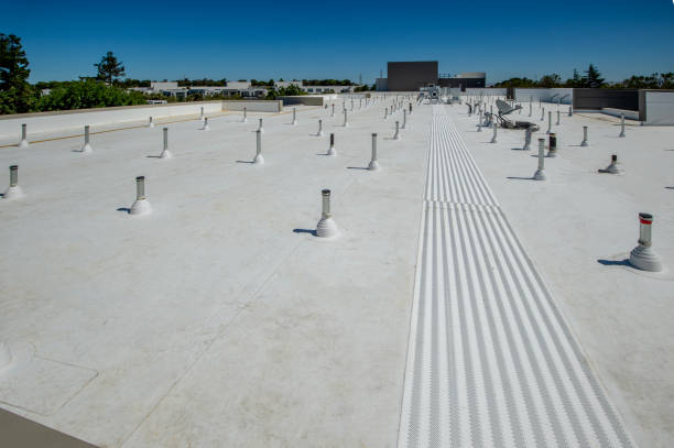 Roof Coating Services in Centreville, MS